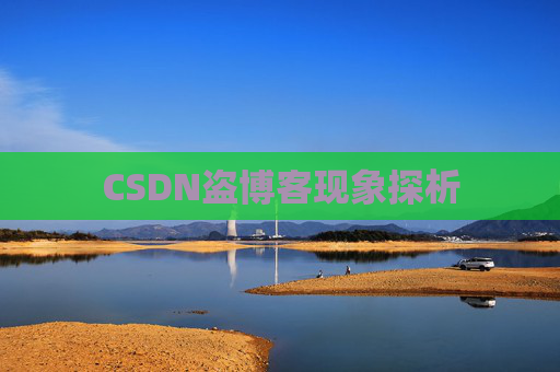 CSDN盗博客现象探析 CSDN盗博客现象探析
